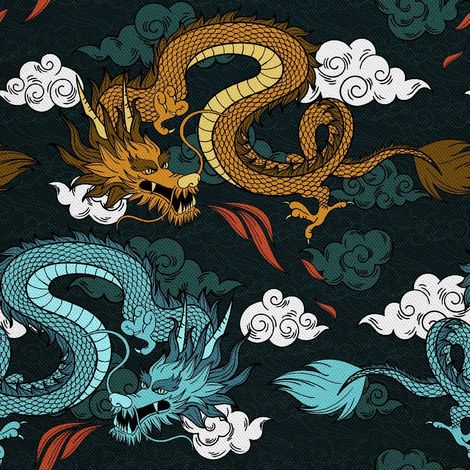 Tela decorativa Oxford para exteriores - motivo Dragón en las nubes I DX277 (1/5)