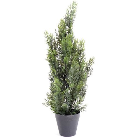 Plante artificielle haute gamme Spécial extérieur / Cyprès artificiel Mini Vert - Dim : 60 x 20 cm (1/2)