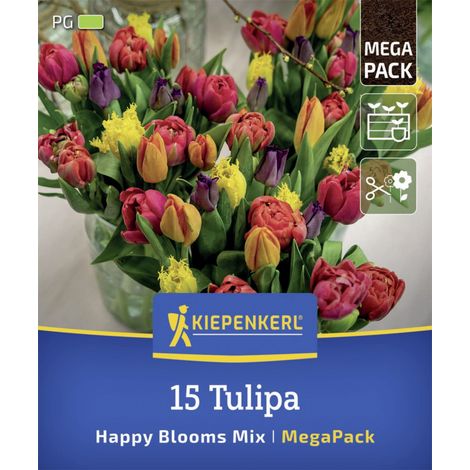 Kiepenkerl Herbstblumenzwiebelmischung Mega-Pack Tulpen Happy Bloom Mix 15 Stück (1/2)
