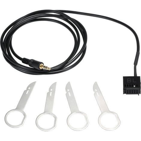 Cable Aux-In - Pour Autoradio Ford Focus Fiesta 6000 Cd 5000 Cd 6006 Cdc - Connecteur 3,5 mm - Noir - 1 Pièce (1/5)