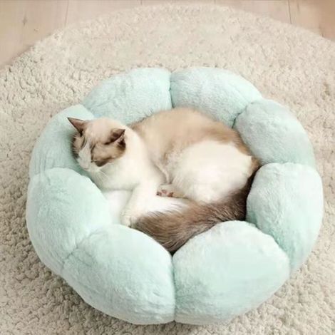 Bardusch - Panier Rond Chien Coussin Chat Panier Donut, Panier Chien Lit pour Chat Chien Extra-Doux Confortable 40cm vert (1/4)
