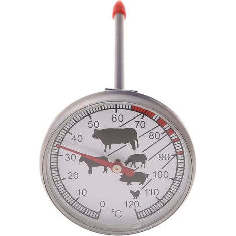 Thermomètre à sonde en acier inoxydable à lecture instantanée pour barbecue et cuisson de la viande-AquaForge