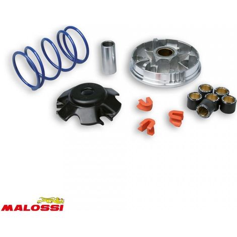 Variateur Malossi pour Scooter Peugeot 100 Speedfight 5111127 / (1/2)