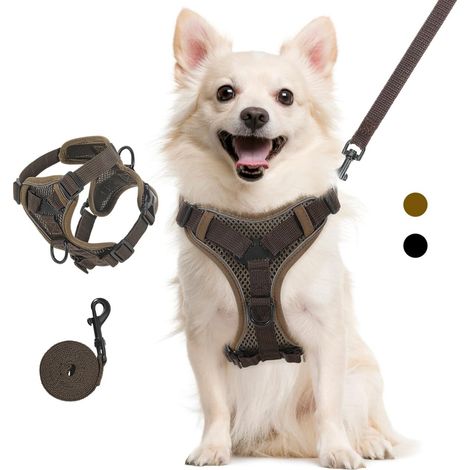 Harnais pour Chien et Chat Réglable avec Laisse, Ensemble de Harnais Anti-Evasion Respirant et Confortable pour Promenade et Randonnée (1/5)