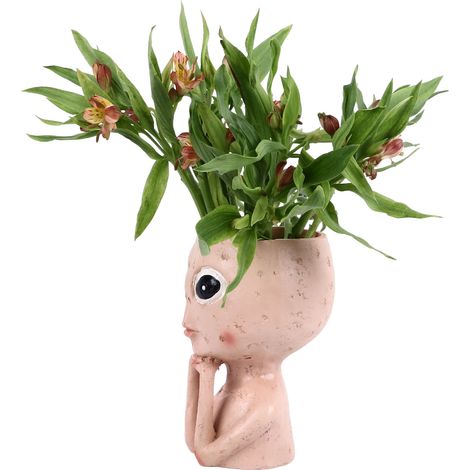 Pot de fleurs original en résine, en forme de tête d'extraterrestre aux yeux ouverts, avec trou de drainage, pour plantes succulentes, décoration intérieure et extérieure. (1/5)