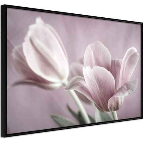 Affiche Murale Encadrée "Pastel Tulips I" 60 x 40 cm Noir