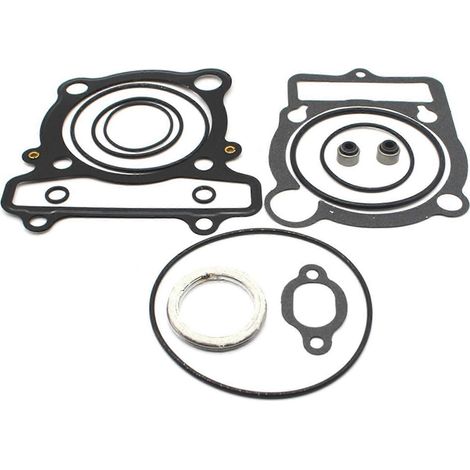 Jeu complet de joints compatibles avec Warrior-Raptor 350 Big Bear YFM350 (1/5)