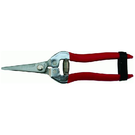 Ciseaux a' agrumes lame droite 19 cm faux pour vergers d'agrumes Poigne'es enduites de PVC avec fermeture en cuir