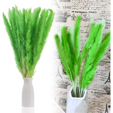 Herbe de la pampa - Tiges de fleurs séchées naturelles - 30 pièces - 44 cm - Rose, blanc, violet, marron, vert, jaune, orange, bleu - Décoration intérieure à faire soi-même, photographie de mariage (1/5)
