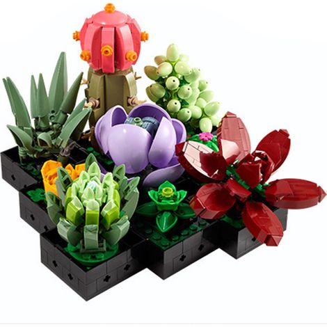 Ensemble de plantes artificielles succulentes pour adultes, décoration intérieure, cadeau d'anniversaire ou de pendaison de crémaillère original, collection botanique, kit de bouquet de fleurs (1/3)