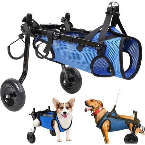 Carrozzina per cani a due ruote - con supporto per le zampe posteriori - Taglia M (adatta a cani di peso compreso tra 5 e 10 kg) - supporto regolabile per articolazioni e anche - adatta a cani affetti