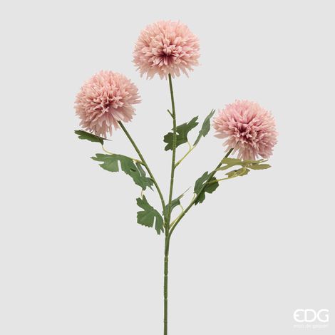 EDG Dalia Ponpon Bliss Ramo X3 H 65 (1/3)