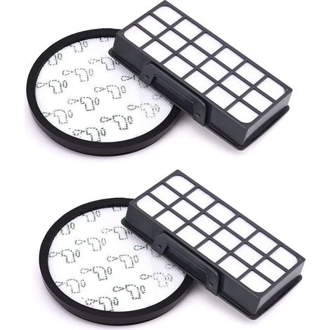 Filtre pour Aspirateur Rowenta RO6984EA RO6941EA RO6963EA RO6921EA RO6971EA RO6993EA - Qualité Supérieure (1/5)