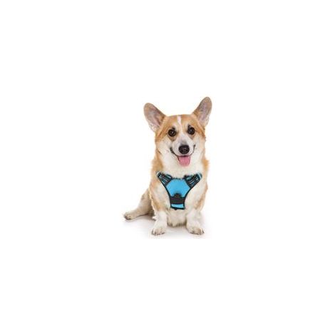 Harnais chien anti-traction bleu clair M, gilet réfléchissant réglable, attache devant, pour Bouledogue Français, Berger Australien, randonnée, voiture –