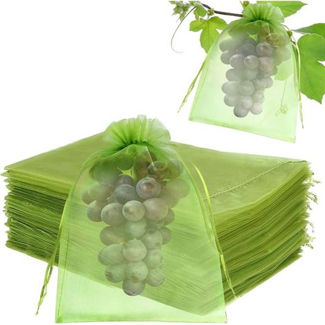 Sachet Protection Raisin 20 x 30 cm, 50 Pièces Sac de Protection Fruits, Vert Sac Organza avec Cordon Sacs Filets Protection, pour Protéger Contre Guêpes Oiseaux et Insectes (1/5)