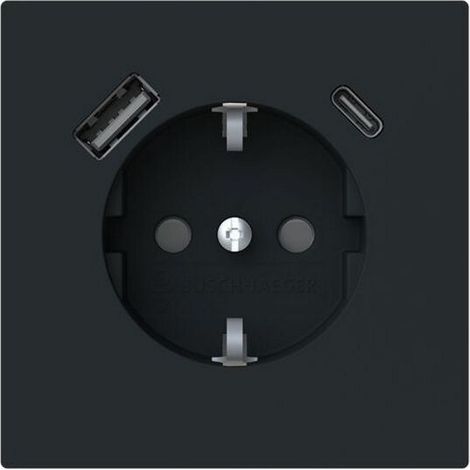 Busch-Jaeger SCHUKO-Steckdose 20 EUCB2USBAC-45M USB-A+C Safety+