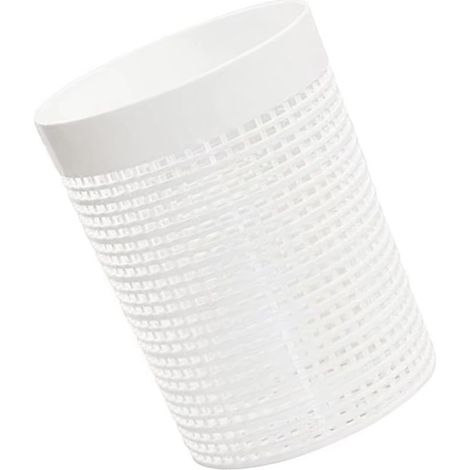 Panier filtrant pour piscine - Pompes de piscine - Accessoires de rechange efficaces (1/5)