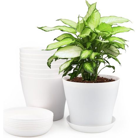 14cm Plastic Plant Pots, Indoor Outdoor Planter, Flower Pot with Trays, Suitable for Seedlings, Cactus, Succulents, Orchids, Herbs - White (1/5)