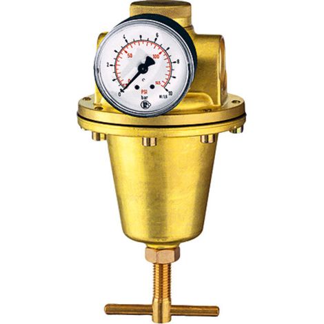 [NEUWERTIG] B-Ware Riegler Konstant-Druckregler Regler Druckminderer G1 0.5-10bar Manometer BG3 (1/2)