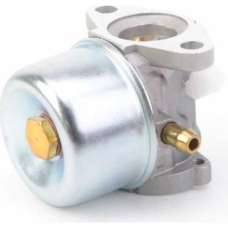Carburateur pour moteur Briggs & Stratton 790120 (1/5)