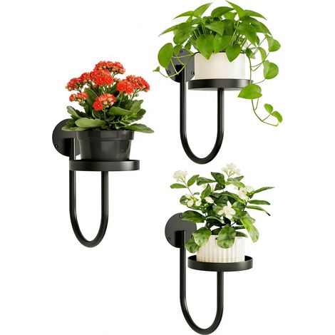Étagère Murale pour Plantes, Support Mural en Métal Noir, U-Design Moderne, Idéal pour Pots de Fleurs, Plantes d’Intérieur et Décoration de Salon, Balcon ou Terrasse (1/5)