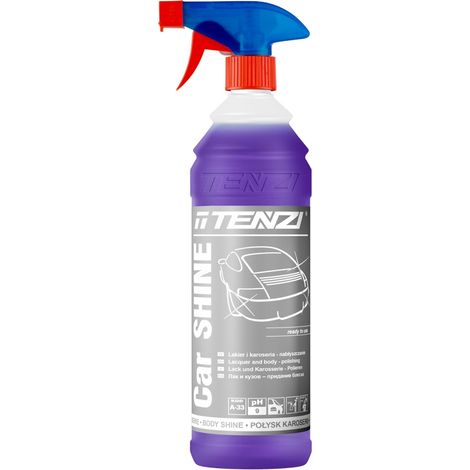 Spray lucidante professionale PER vernici CON polimeri 1L
