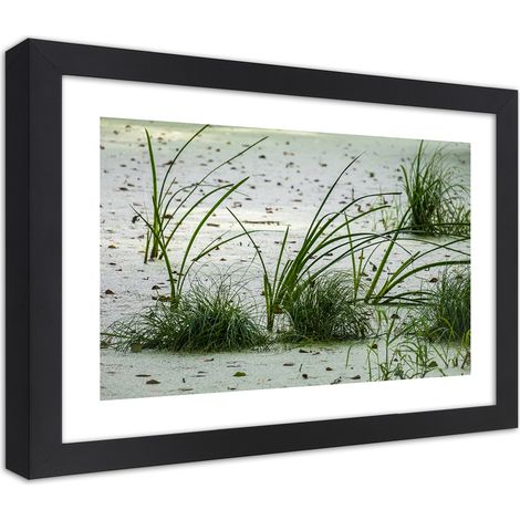 Quadro con cornice, Erbe sulla spiaggia - 60x40 (1/5)