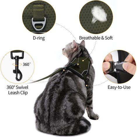 Harnais et Laisse pour Chat Réglable Anti-Évasion avec Bandes Réfléchissantes pour Marche en Plein Air (1/5)