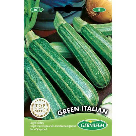 graines Courgette verte d'Italie (coucourzelle) GREEN ITALIAN