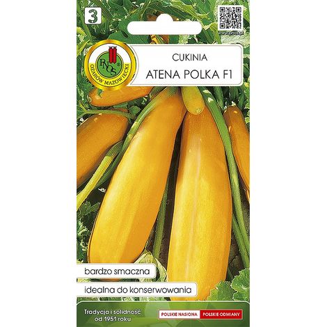 Pnos Ożarów zucca zucchine atena polka F1 2g NSWPD018 (1/2)