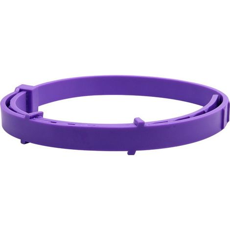 Collier anti-puces et anti-tiques pour chien - Violet, réglable, imperméable, protection efficace pendant 8 mois (1/4)