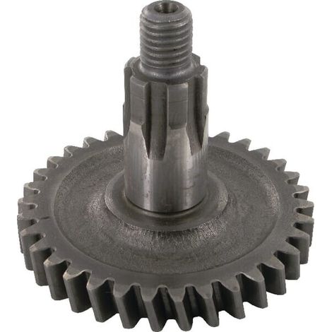 Zahnrad KUHN 56142710