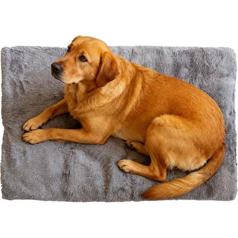 Lit pour Chien d'hiver - Confortable Grand Tapis Anti - Dérapant pour (1/5)