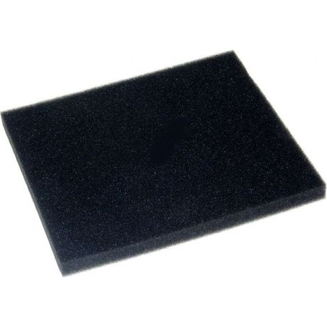 Filtre mousse pour Aspirateur PHILIPS 422245946171