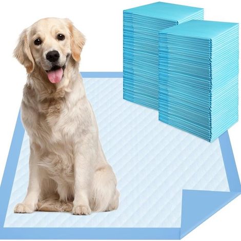 Almohadillas de entrenamiento para perros, 40 unidades, Entrenamiento para ir al baño, Adiestramiento, 60x60 cm, Absorbentes, Azul (1/5)