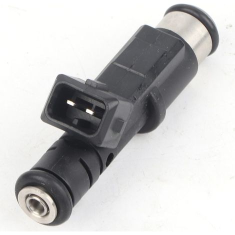 Injector of fuel 01F003Has, Nozzle of spraying of fuel fits Peugeot 206 307 406 407 607 806 807 Expert Citroen 2.0 (1/5)