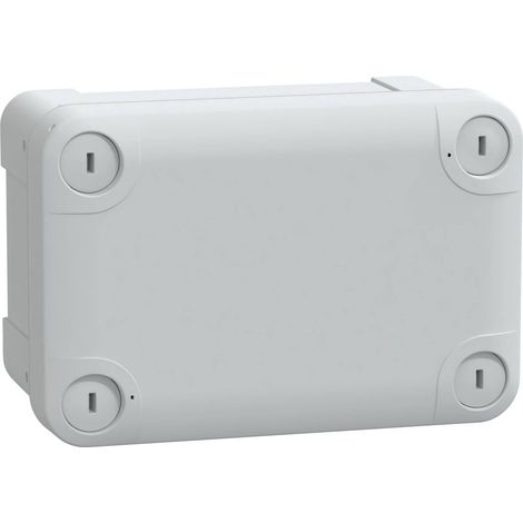 boîte industrielle - thalassa - abs - 138 x 93 x 72 mm - schneider electric nsytbs1397 (1/5)