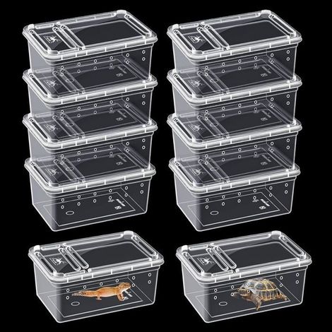 10 pièces Boîte d'alimentation pour reptiles, cage d'habitat animal transparent pour araignées, terrarium pour reptiles (1/5)