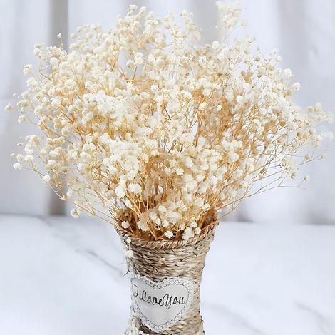 Gypsophila - Branches De Gypsophile Séchées Naturelles - Pour Décoration Intérieure Mariage Centre De Table Couronne DIY - Lot De 2500+ Brindilles - 43 Cm (1/5)
