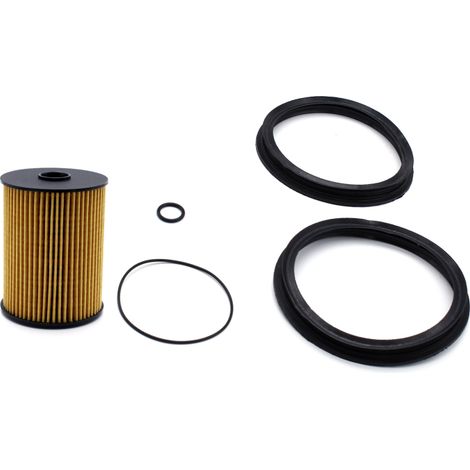 Kraftstofffilter-Kit mit Ersatz-O-Ringen und Dichtungen für BMW Mini Cooper S R50 R52 R53 A898 16146757196