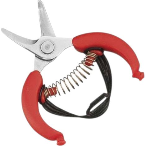 Forbici per agrumi con lama in acciaio inox 10,5 cm