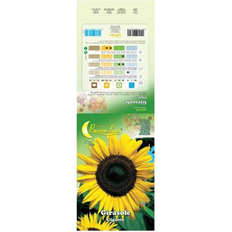 10 x SEMI GARDEN GIRASOLE GIGANTE