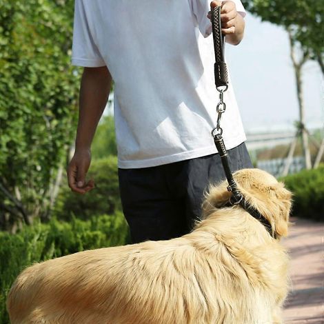 Laisse courte et résistante pour chien, poignée souple, collier en cuir, accessoires pour animaux de compagnie (1/4)