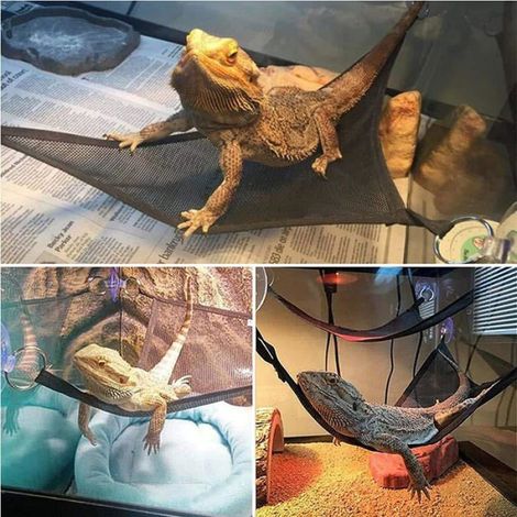 Hamac Reptile - Nylon Respirant - Pour Terrarium Lézards Dragons Barbus Geckos - Triangle 33x33x48 Cm - 2 Pièces (1/5)