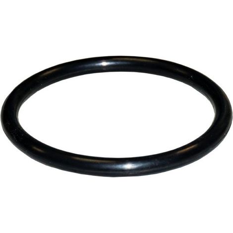 Guarnizione raccordo valvola da 1 1/2" per filtri QP e Coral .