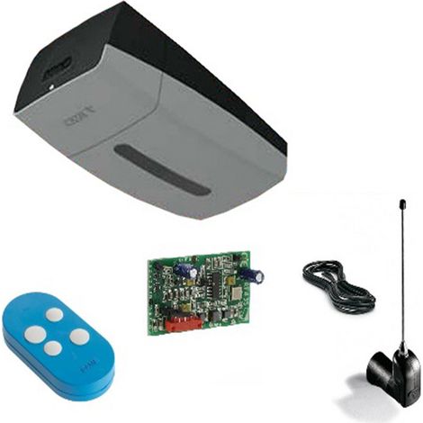 Came – Kit de motorisation de garage 24V – Force de traction 1300N – Compatible avec portes sectionnelles et basculantes – 8K01MV012 (1/2)