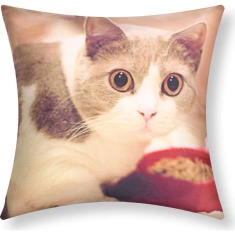 Housses de Coussin - AVIZAR - Lot de 2 - 40x40 cm - Motif Chat Gamelle - Multicolore (1/5)