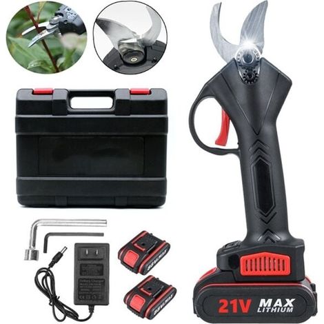 Tijeras de podar de 21 V con 2 baterías - Cortadora de poda para jardinería y árboles frutales (1/5)