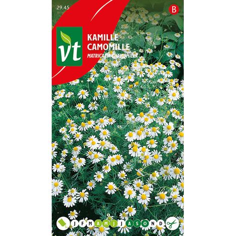 Camomille - Ca. 0,5 gr (Livraison Gratuite)