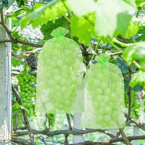 60 sacs de protection pour grappes de raisin, sacs de protection pour fruits en organza avec cordon de serrage 30x20cm, sacs de protection pour fruits contre les guêpes, les oiseaux et (1/4)
